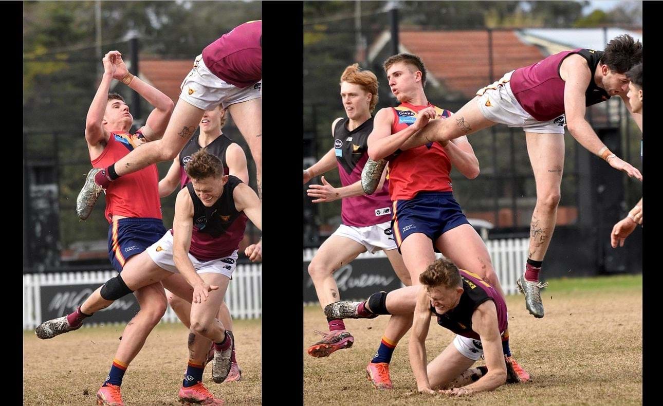 Durras Seccull flies over the pack and younger brother Rayner