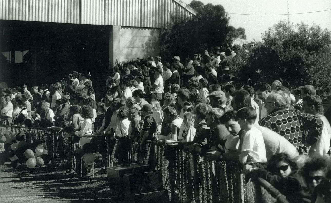 The crowd on Elsternwick Park's Hill of Knowledge watches the Bloods take control of the 1989 Grand Final