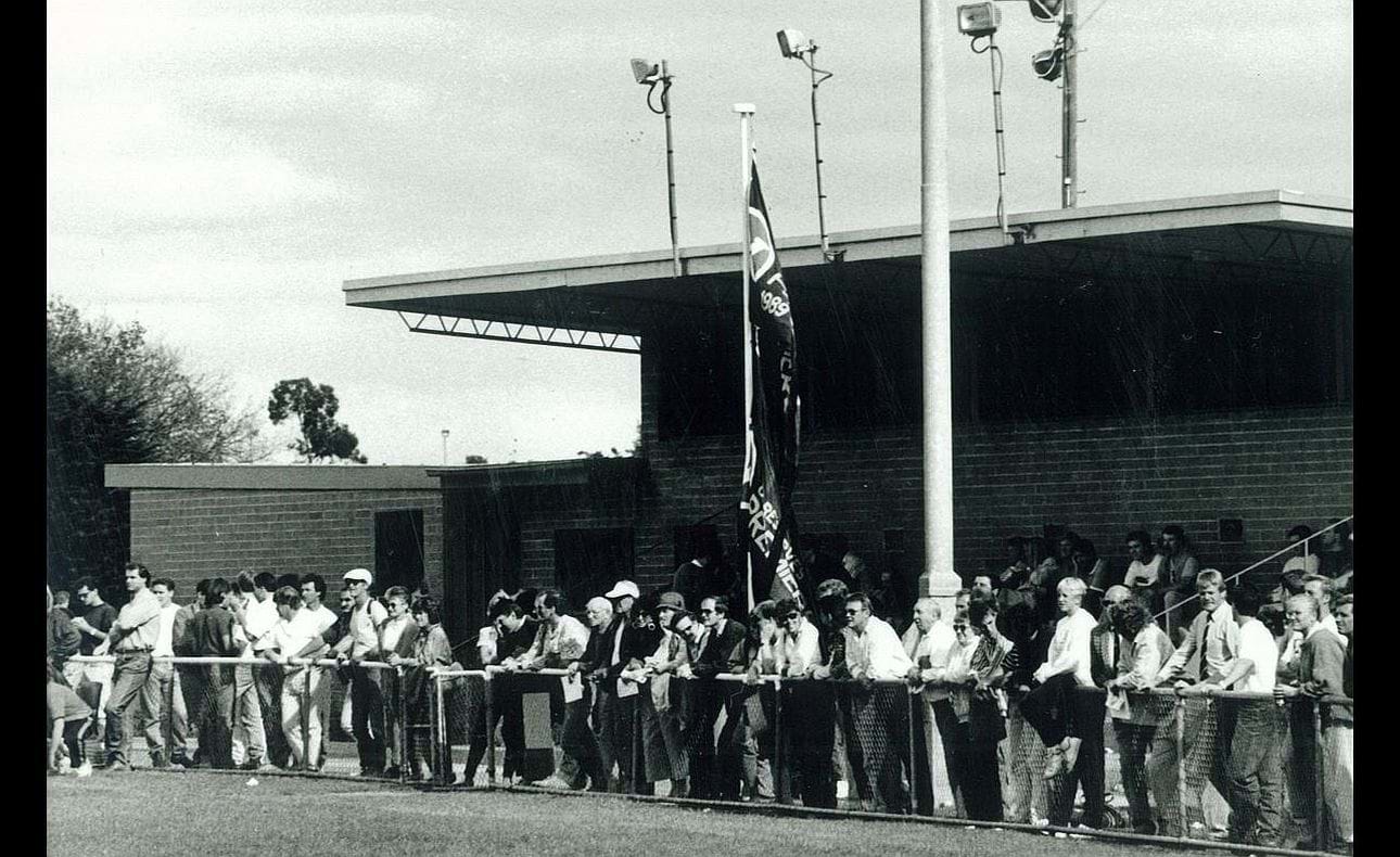 Premiership flags unfurled at McKinnon