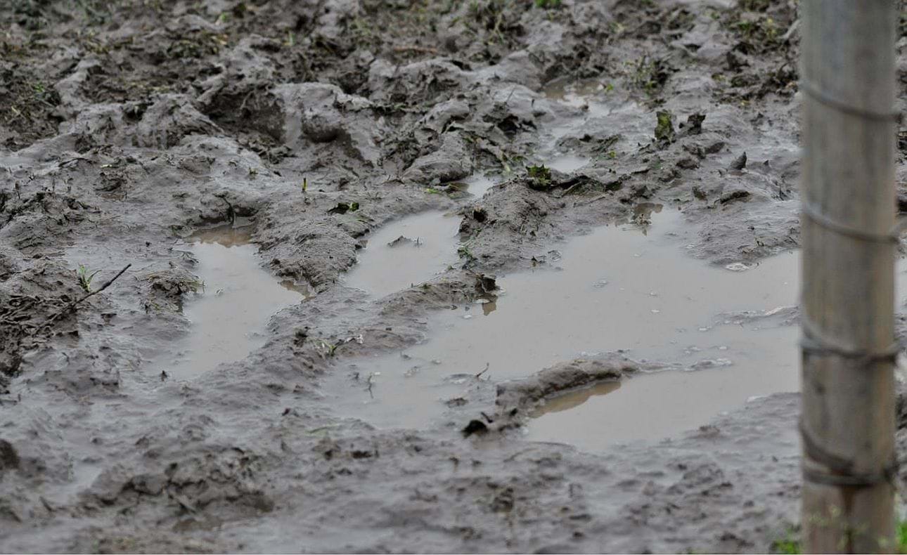 A quagmire greeted the Bloods when they visited Therry Penola at their Oak Park Reserve for Round 15