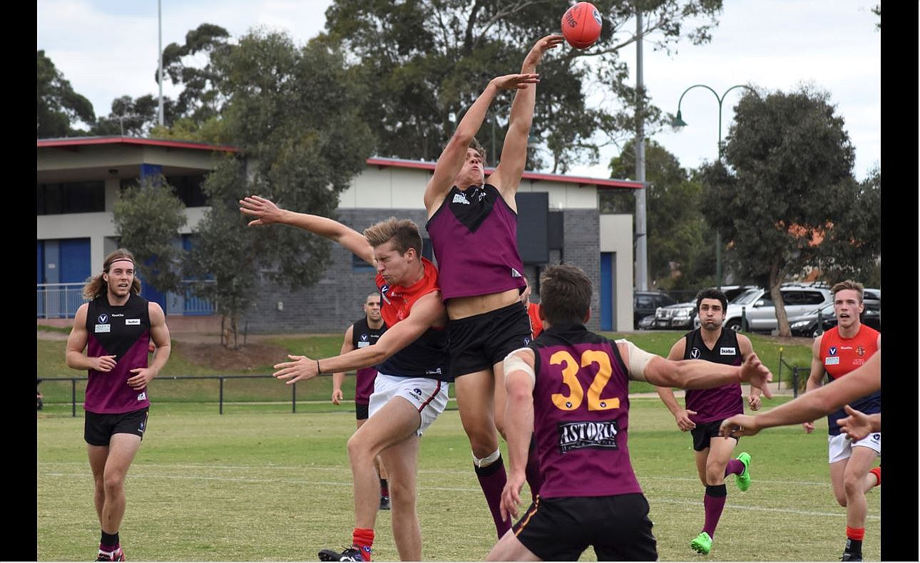 Lachie Treverton Ed Limon