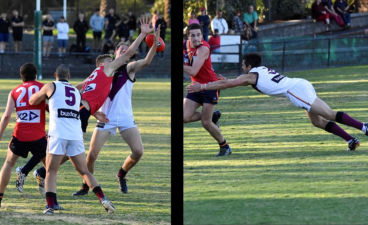 Sam Hall Peter Shakallis Hamish McLauchlan