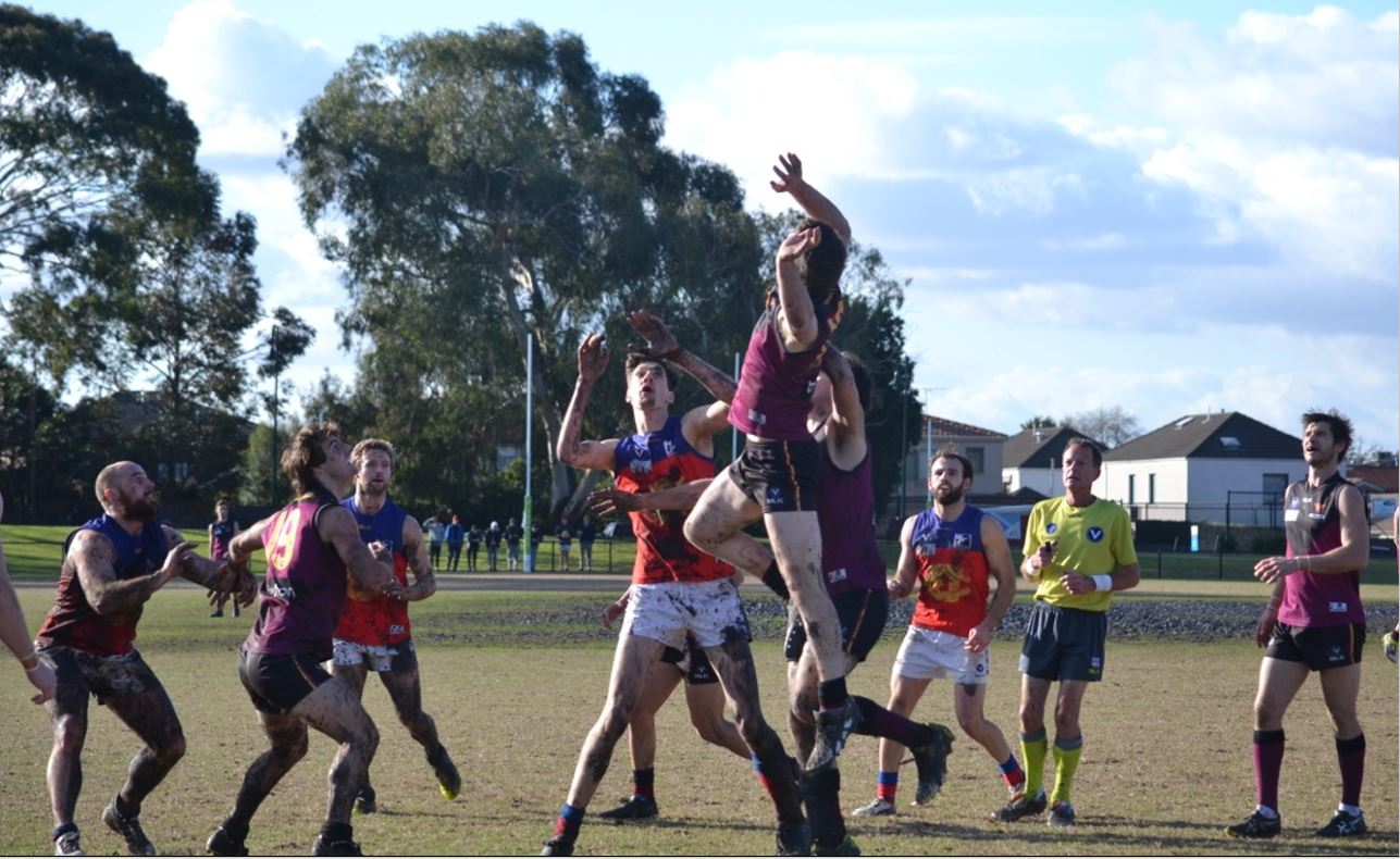 Jordan Toy Hamish McLauchlan