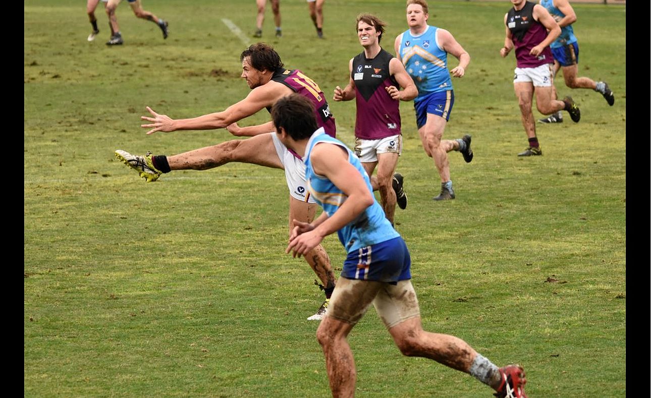 Dan Harrison Jordan Toy