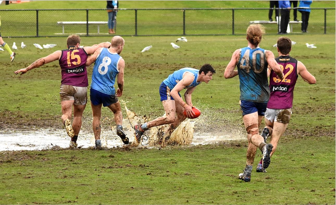 Shane Valenti Ed Limon