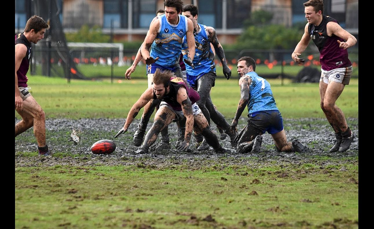 Aaron Toy Ed Limon Alex Woltering