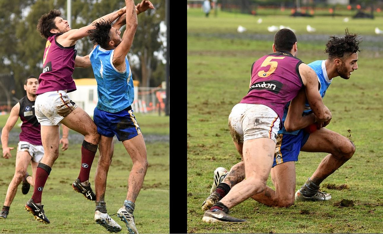 Hamish McLauchlan Peter Shakallis