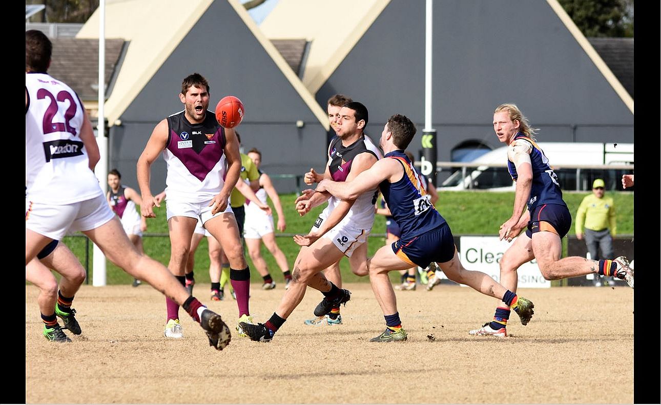 Peter Shakallis Nathan Waite