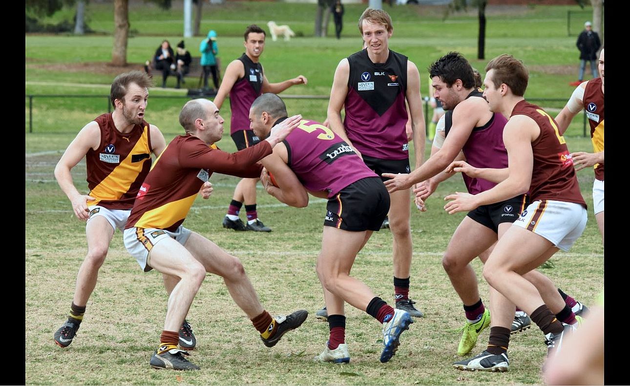 Peter Shakallis Sam Hall Lachie Nash