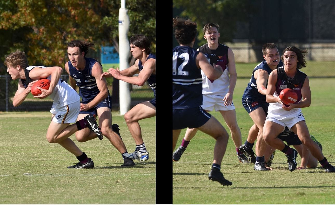 Davis Green Ari Ventouras