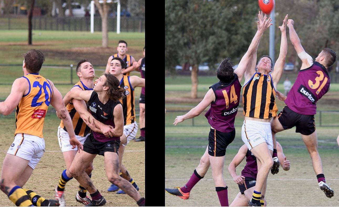 Will Paul Durras Seccull Brodie Steele
