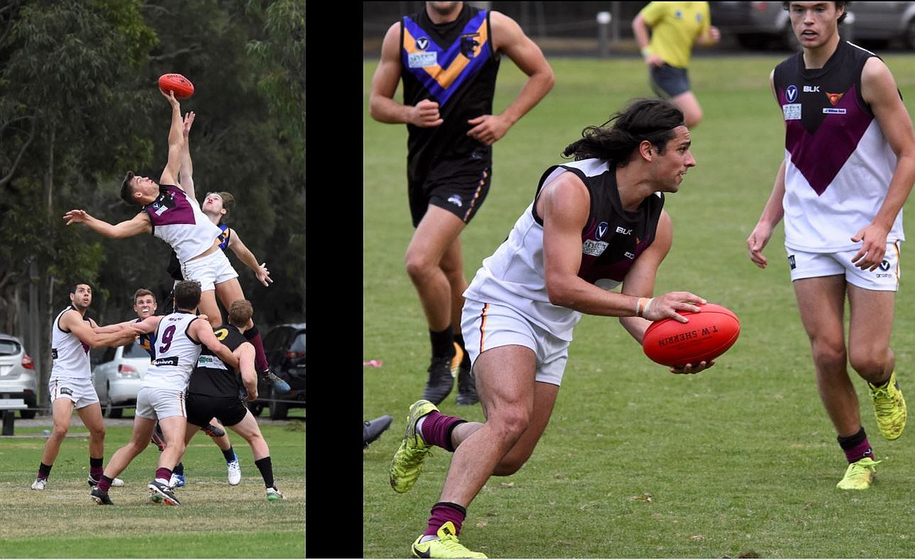 Lachie Treverton Peter Gleadhill Corey Connelly Sam Loewe