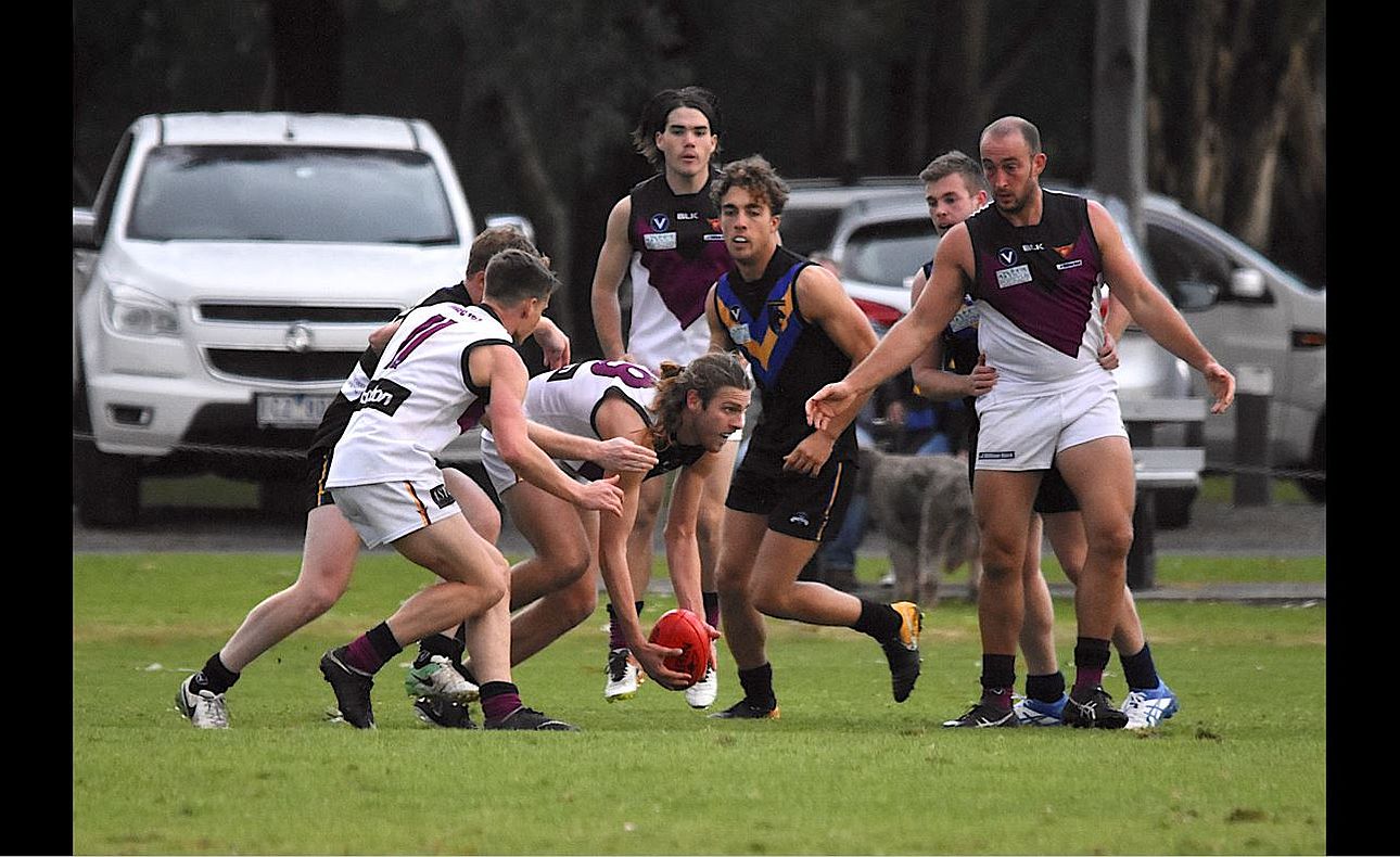 Will Paul Jordan Donnelly Jarrod Plymin