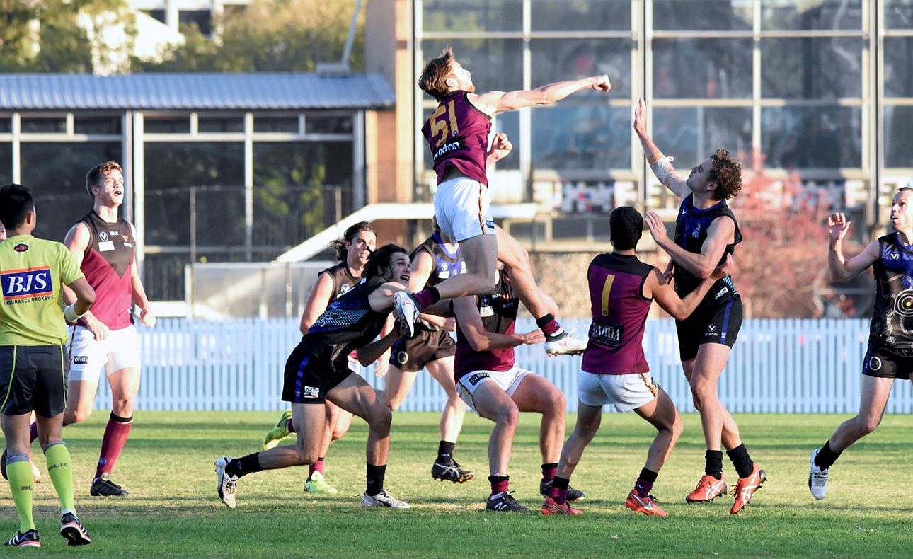 Callum Searle Lachie Treverton Sam Algeri