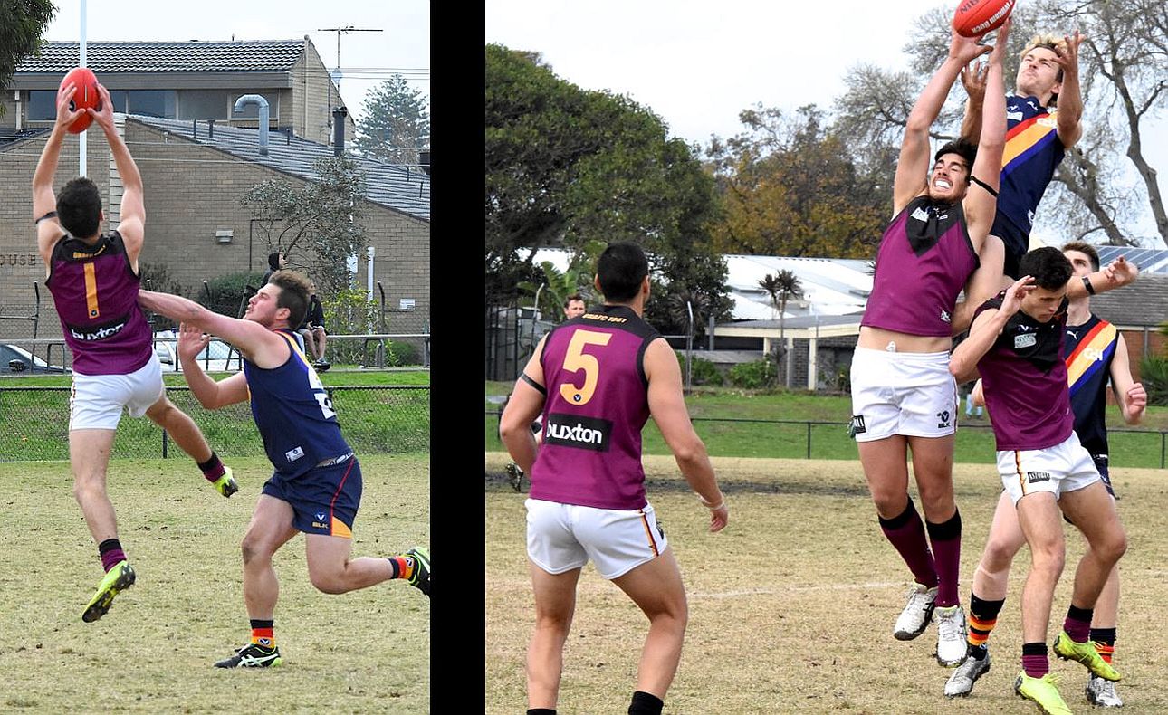 Sam Loewe Matt Taylor Peter Shakallis