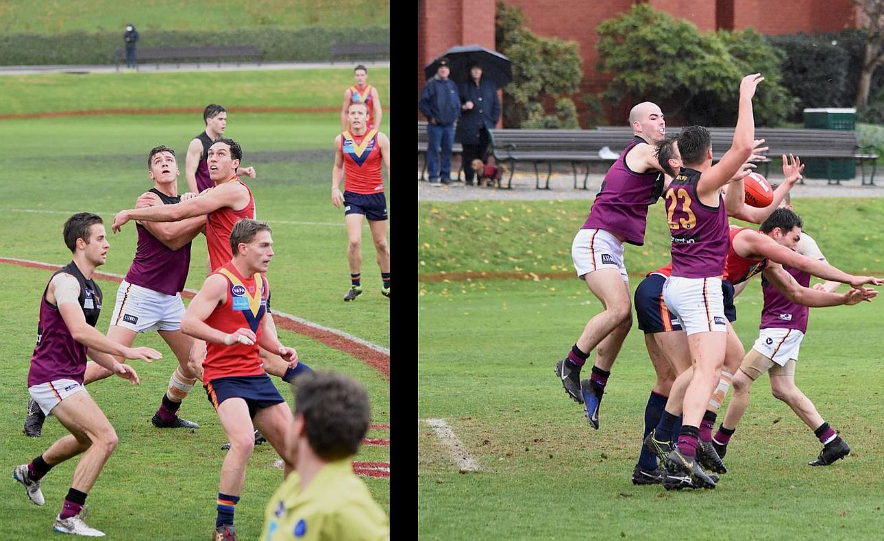 Lachie Treverton Brodie Steele Aaron Toy