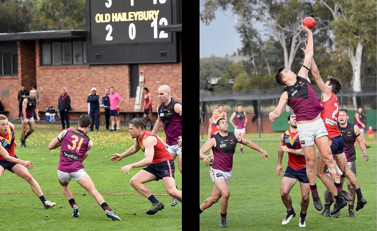 Brodie Steele Lachie Treverton