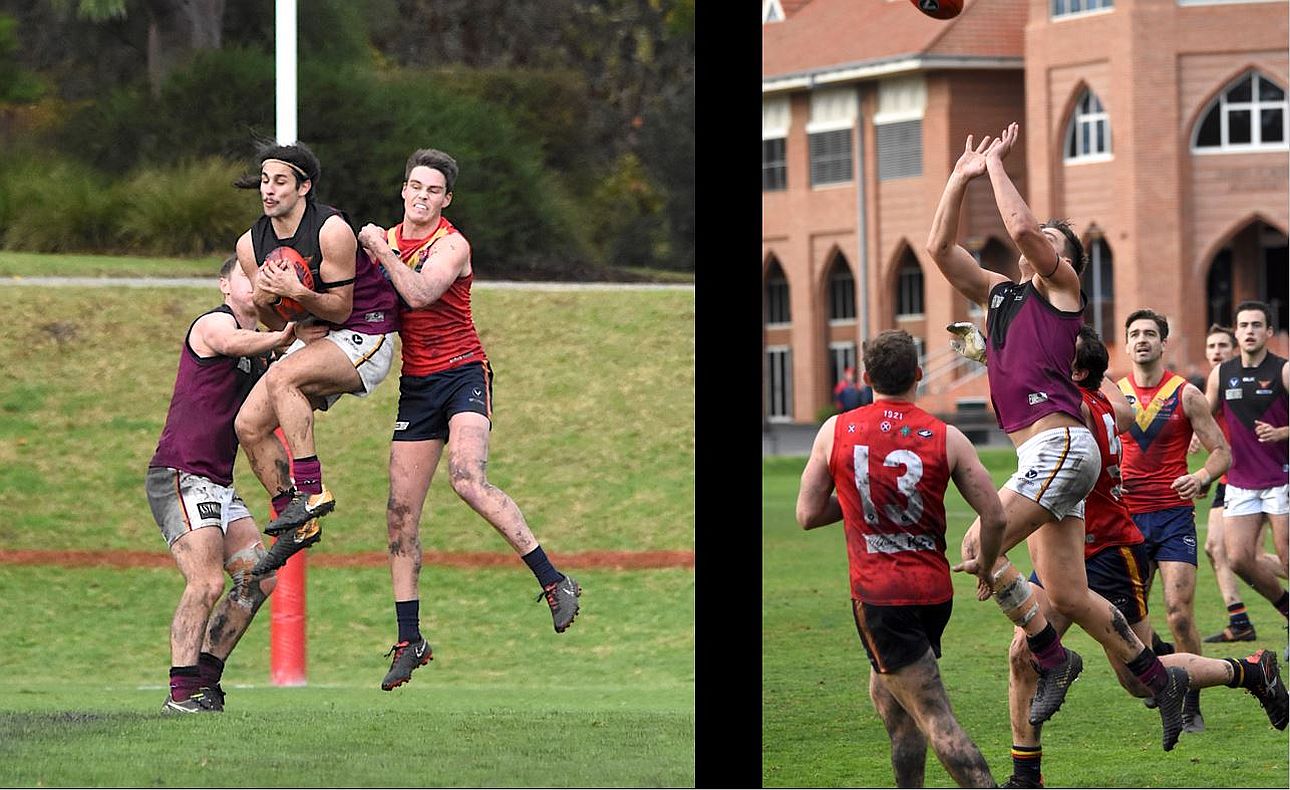 Corey Connelly Lachie Treverton