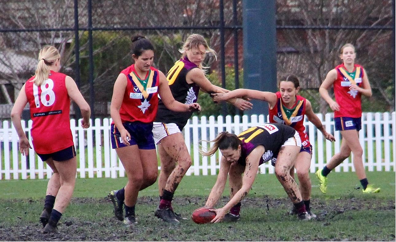 Kelly Eaton Danielle Frawley