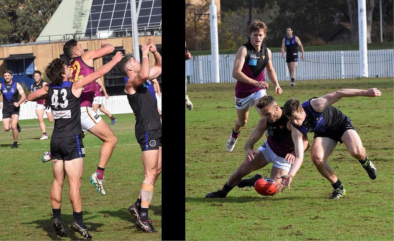 Emilio Bitters Rohan Heasley Rayner Seccull